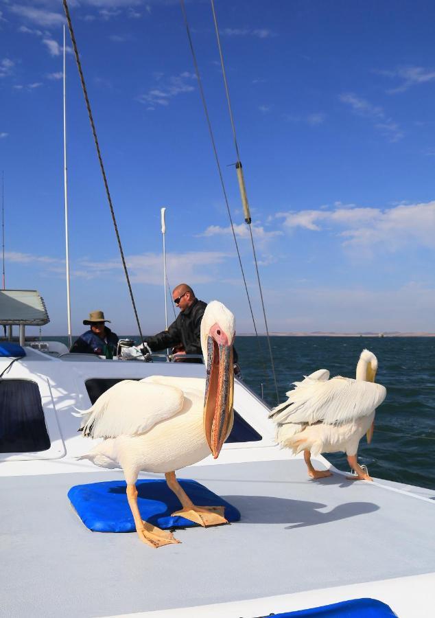 Tiende Laan Bed & Breakfast And Self-Catering Walvis Bay Dış mekan fotoğraf